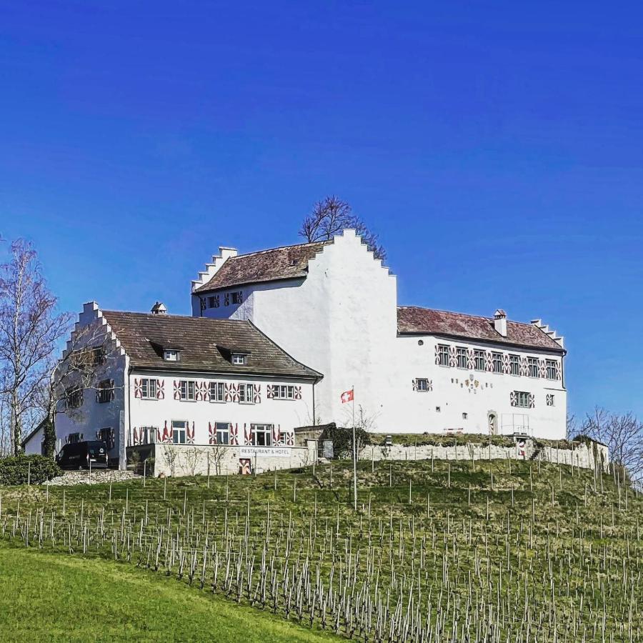 Hotel & Restaurant Schloss Schwandegg Oberstammheim Buitenkant foto