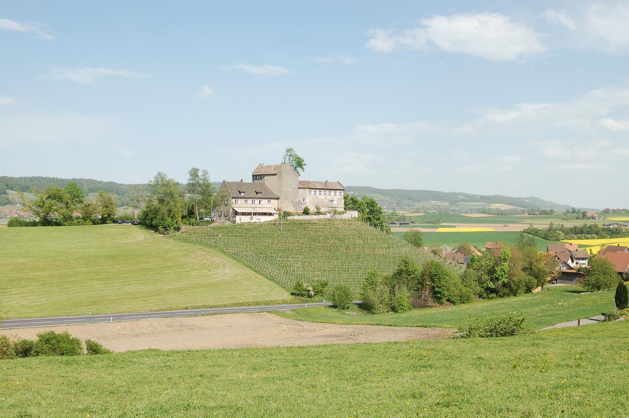 Hotel & Restaurant Schloss Schwandegg Oberstammheim Buitenkant foto