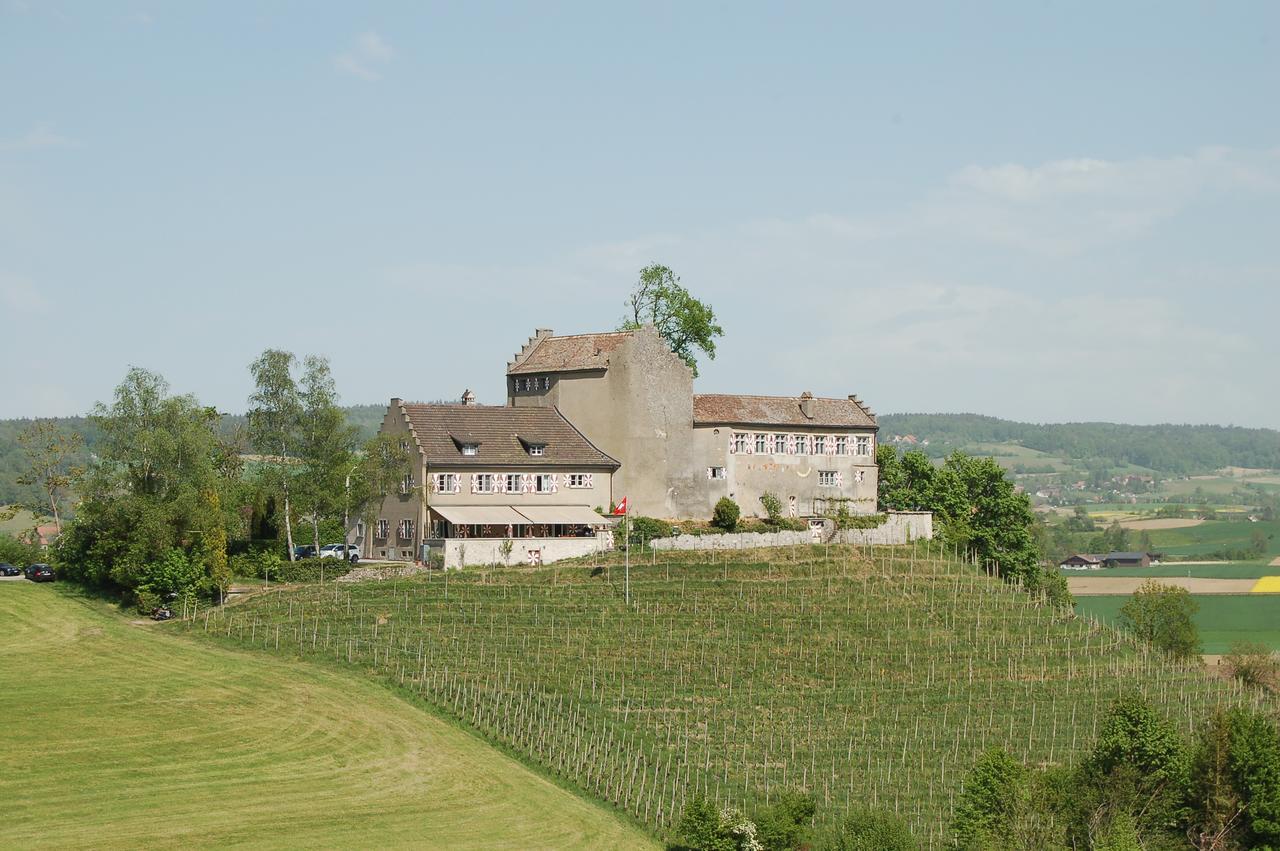 Hotel & Restaurant Schloss Schwandegg Oberstammheim Buitenkant foto